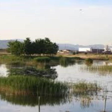 Apartamento Cerca De Playa Y Montana Ideal Familias O Relax Puçol Exteriör bild