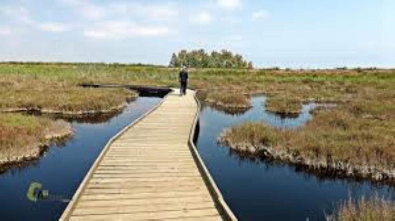 Apartamento Cerca De Playa Y Montana Ideal Familias O Relax Puçol Exteriör bild