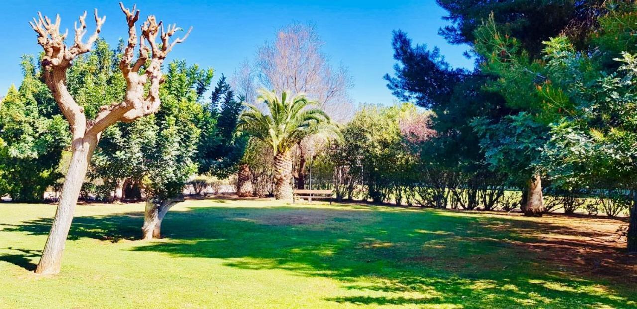 Apartamento Cerca De Playa Y Montana Ideal Familias O Relax Puçol Exteriör bild